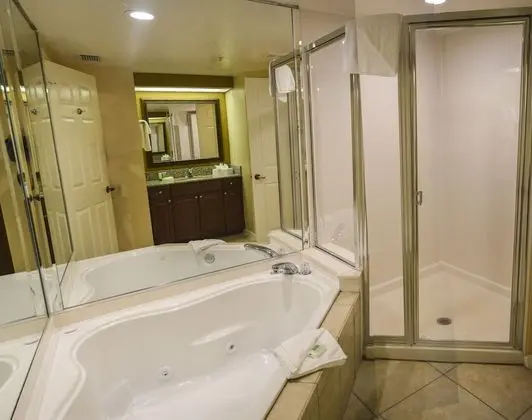 Deluxe Stüdyo, 1 En Büyük (King) Boy Yatak ve Çekyat, Küçük Mutfak