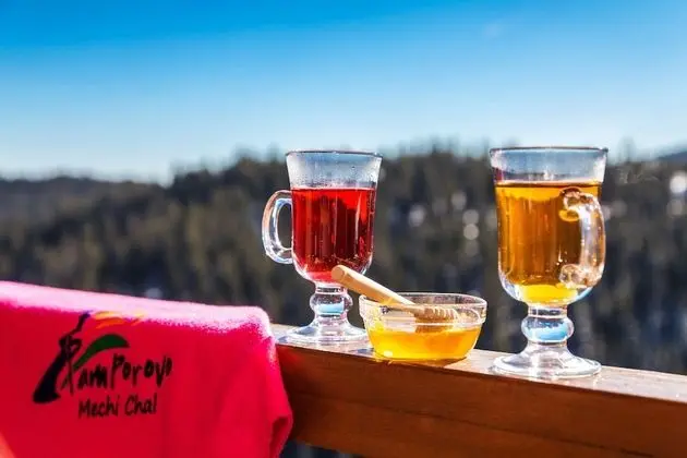 Tek Büyük veya İki Ayrı Yataklı Oda, Balkon, Dağ Manzaralı