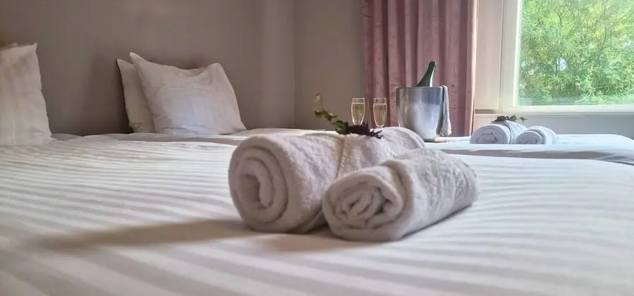 Tek Büyük Yataklı Oda (Hotel)