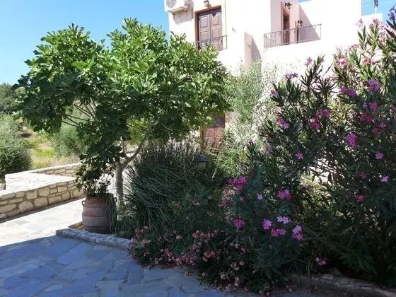 Traditional Villa