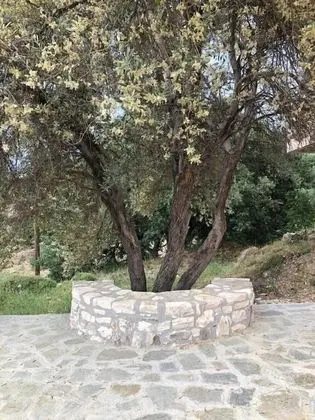 Traditional Villa