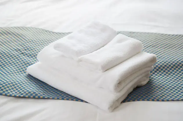 Traditional Oda (Japanese Western Style, Family)