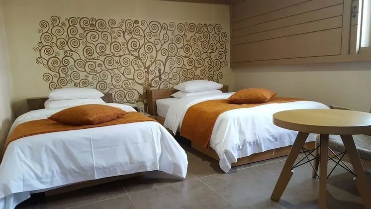 Deluxe İki Ayrı Yataklı Oda