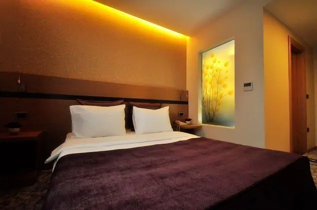 Deluxe Büyük Yataklı Tek Kişilik Oda