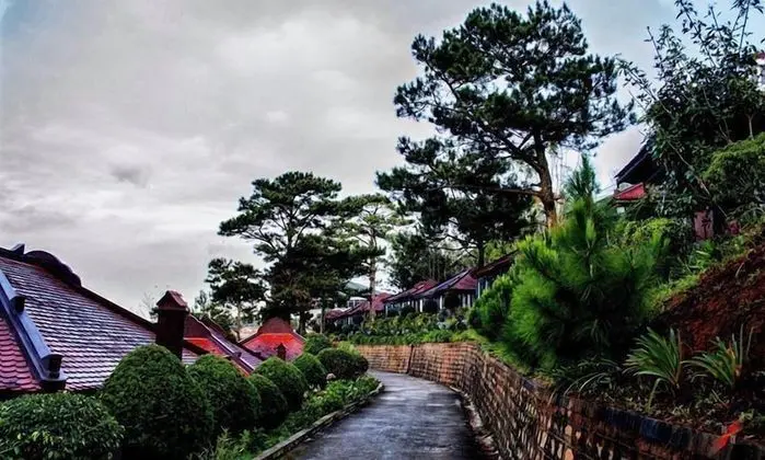 Deluxe Bungalov