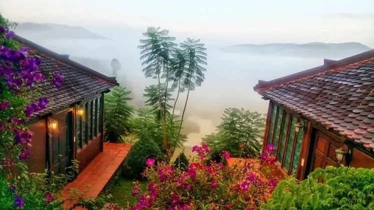 Deluxe Bungalov
