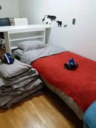 Ev