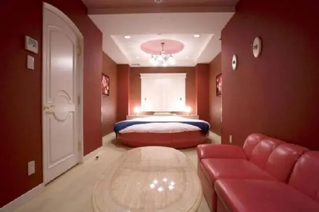 Standard Tek Büyük Yataklı Oda, Sigara İçilebilir (Love Hotel)
