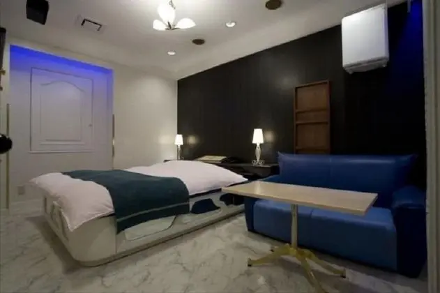 Standard Tek Büyük Yataklı Oda, Sigara İçilebilir (Love Hotel)