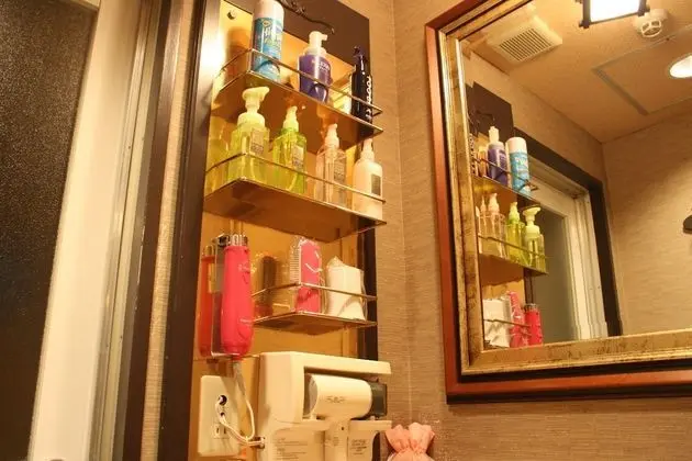 Standard Tek Büyük Yataklı Oda, Sigara İçilebilir (Love Hotel)