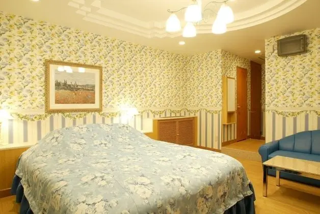 Standard Tek Büyük Yataklı Oda, Sigara İçilebilir (Love Hotel)