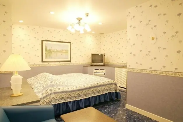 Standard Tek Büyük Yataklı Oda, Sigara İçilebilir (Love Hotel)