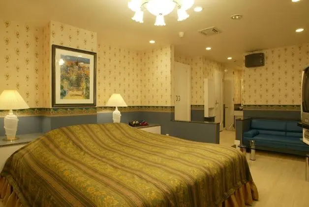Standard Tek Büyük Yataklı Oda, Sigara İçilebilir (Love Hotel)