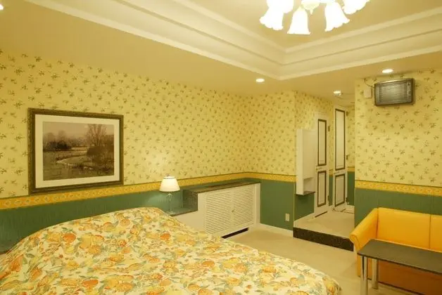 Standard Tek Büyük Yataklı Oda, Sigara İçilebilir (Love Hotel)
