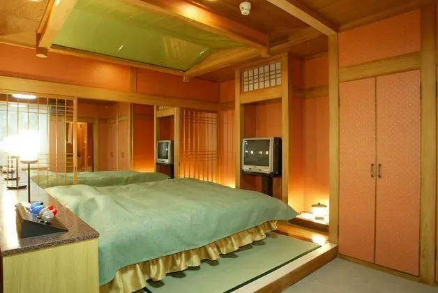 Standard Tek Büyük Yataklı Oda, Sigara İçilebilir (Love Hotel)
