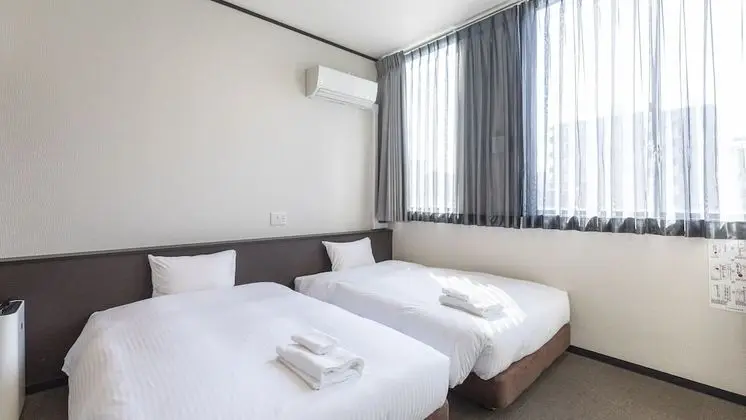 Deluxe İki Ayrı Yataklı Oda, Sigara İçilmez