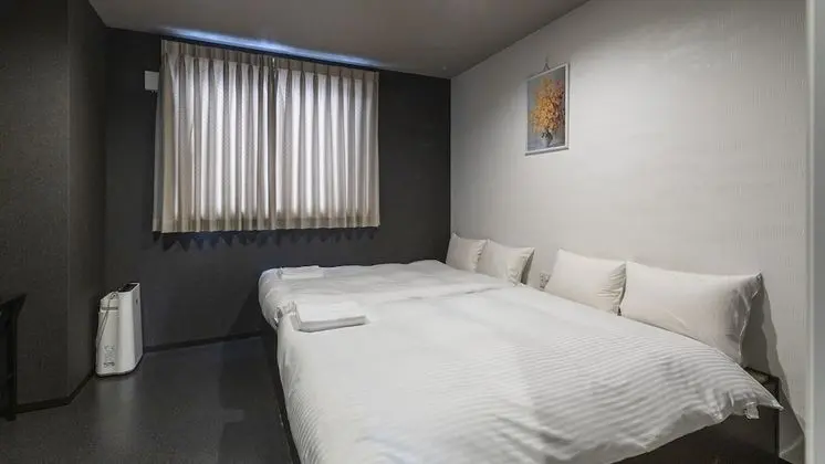 Deluxe İki Ayrı Yataklı Oda, Sigara İçilmez