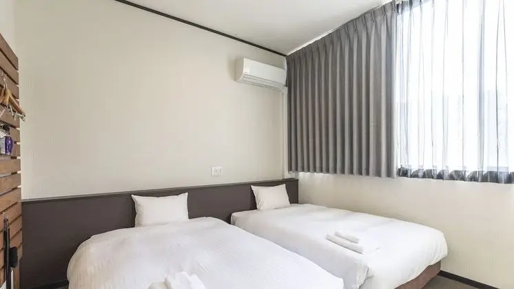Deluxe İki Ayrı Yataklı Oda, Sigara İçilmez