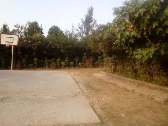 Standard Kır Evi