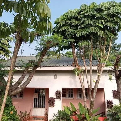 Standard Kır Evi