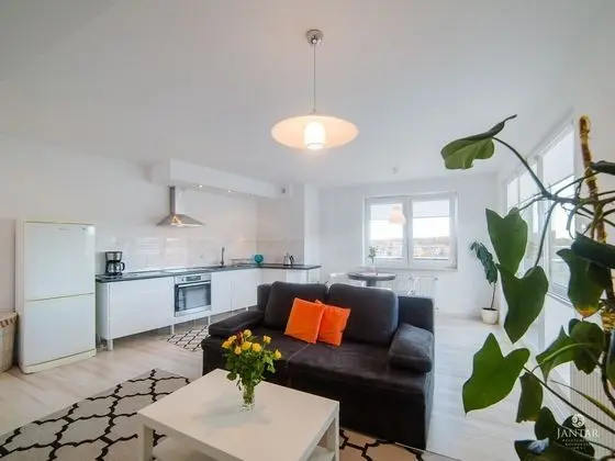 Comfort Çatı Katı Süiti (Penthouse), 1 Yatak Odası