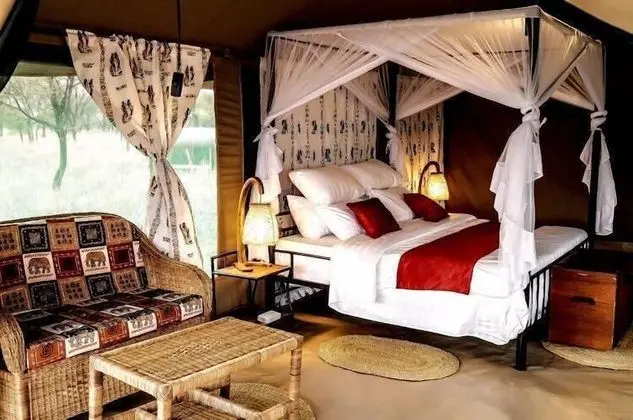 Luxury Çadır