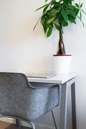 Comfort Tek Büyük Yataklı Oda, 1 Yatak Odası, Özel Banyo