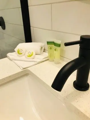 Premier Oda, 1 En Büyük (King) Boy Yatak (Non pet friendly)