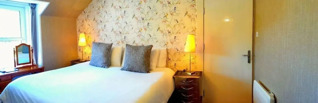Comfort Tek Büyük Yataklı Oda, Banyolu/Duşlu, Bahçe Manzaralı (Cosy Double Bedroom)