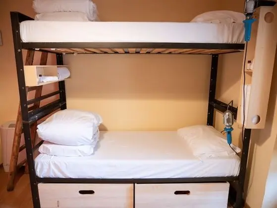 Standard Dört Kişilik Oda