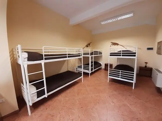 Basic Dört Kişilik Oda, Birden Çok Yatak, Banyolu/Duşlu