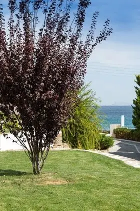 Apart Daire, Kısmi Deniz Manzaralı