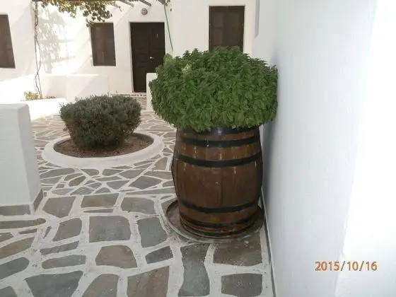 Stüdyo