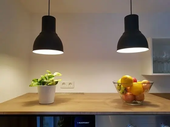 Comfort Ev (Elfriede)