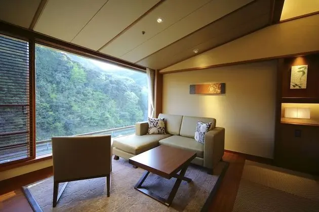 Premium İki Ayrı Yataklı Oda, Sigara İçilmez (Japanese Style)