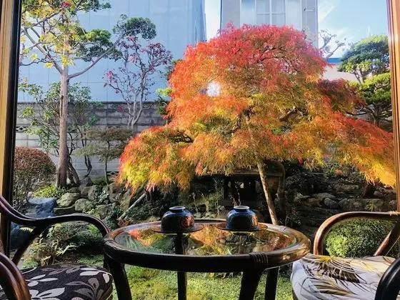 Traditional Oda, Sigara İçilmez (Tatami Garden Room w/ Private Toilet)