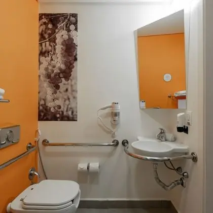 Standard Tek Büyük Yataklı Oda, Engellilere Uygun
