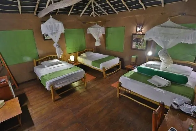 Family Oda, 2 Yatak Odası (The Main Lodge)