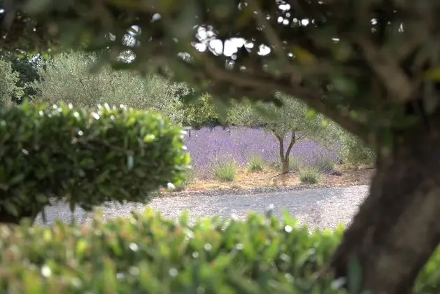 Deluxe Oda, 1 Büyük (Queen) Boy Yatak