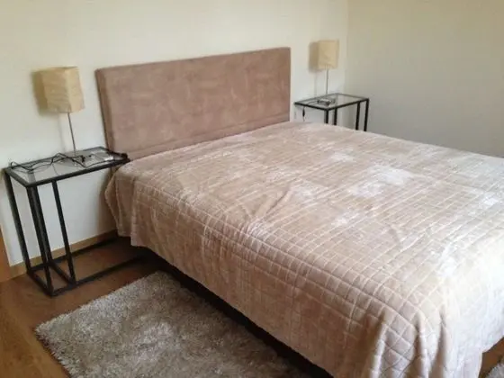 Basic Tek Büyük Yataklı Oda, 1 Çift Kişilik Yatak, Özel Banyo