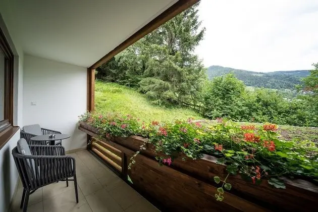 Junior Tek Büyük Yataklı Oda, Balkon, Dağ Manzaralı