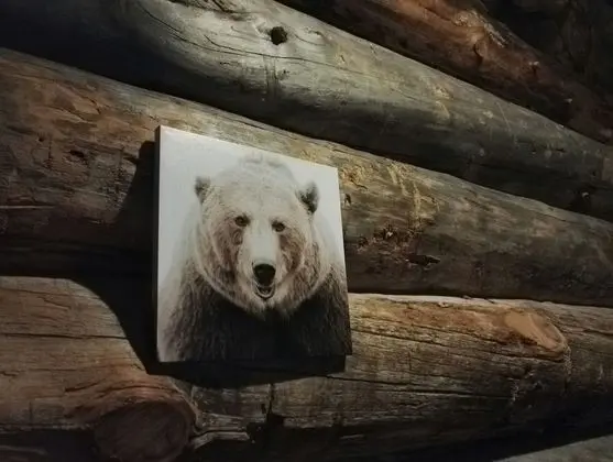 Apart Daire, 2 Yatak Odası, Sauna