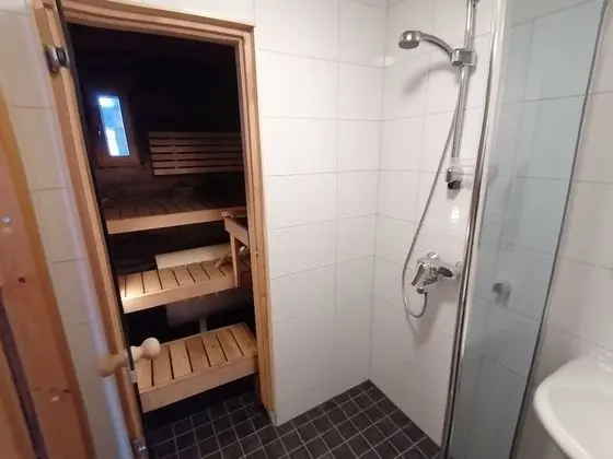 Apart Daire, 2 Yatak Odası, Sauna
