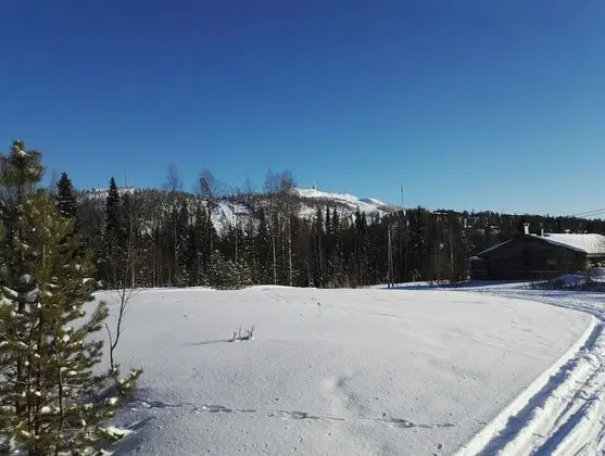 Apart Daire, 2 Yatak Odası, Sauna