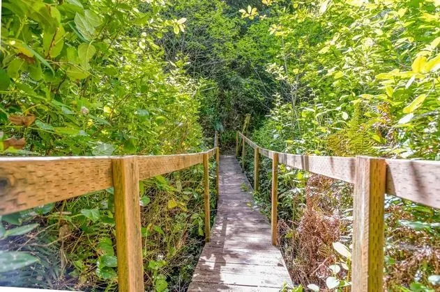 Ev, Birden Çok Yatak (Otter Rock Hideaway)