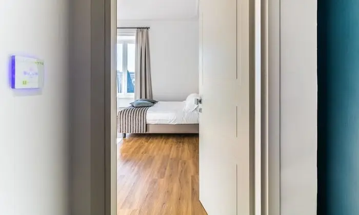 Deluxe Tek Büyük Yataklı Oda, 1 Büyük (Queen) Boy Yatak, Şehir Manzaralı