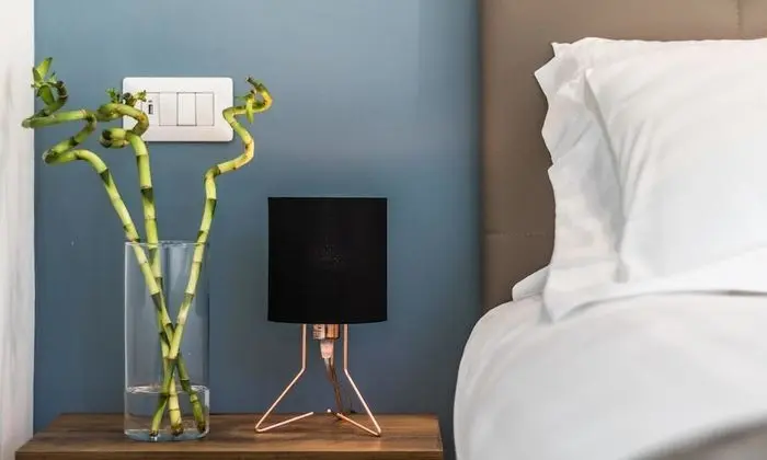 Deluxe Tek Büyük Yataklı Oda, 1 Büyük (Queen) Boy Yatak, Şehir Manzaralı