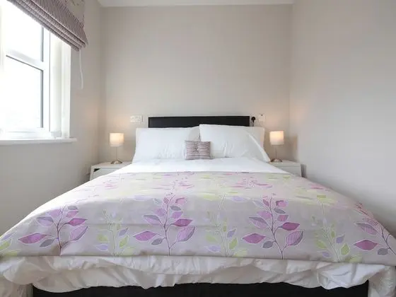 Apart Daire, Özel Banyo (1 Bed - Otton Suite)