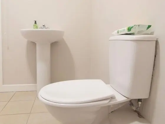 Apart Daire, Özel Banyo (1 Bed - Otton Suite)