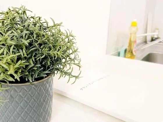 Apart Daire, Balkon (301)